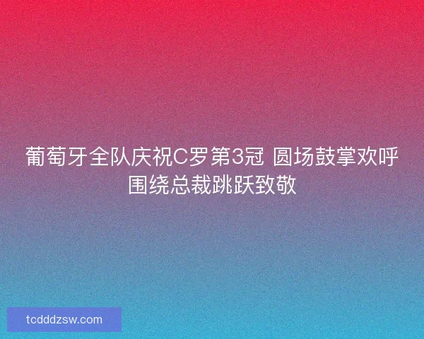 葡萄牙全队庆祝C罗第3冠 圆场鼓掌欢呼围绕总裁跳跃致敬