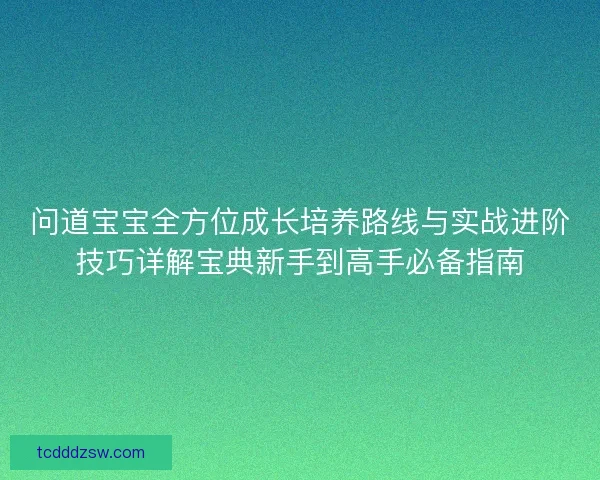 问道宝宝全方位成长培养路线与实战进阶技巧详解宝典新手到高手必备指南